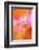 Abstract of Davy Gilia flowers, Antelope Valley California Poppy Preserve, Lancaster, California-Adam Jones-Framed Photographic Print