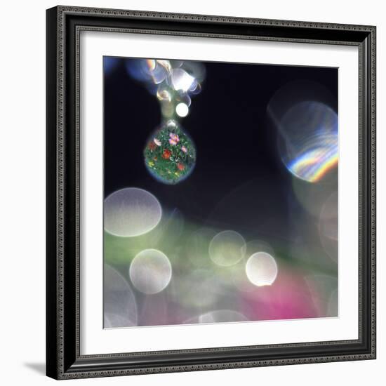 Abstract of Dew Drops on Flowers-Steve Satushek-Framed Photographic Print