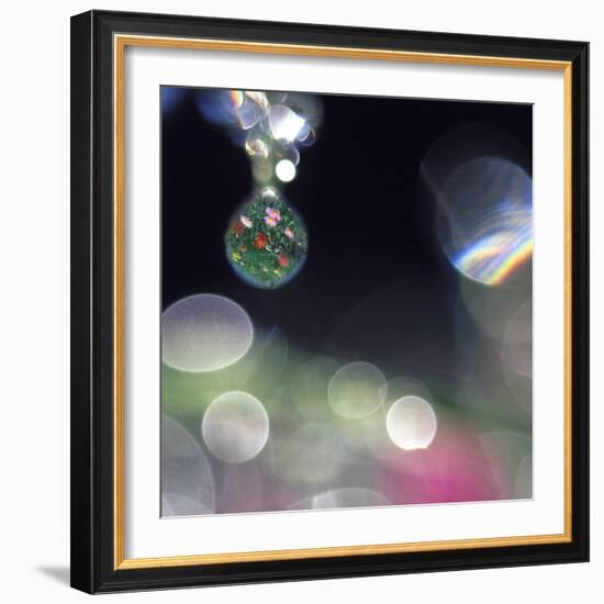 Abstract of Dew Drops on Flowers-Steve Satushek-Framed Photographic Print