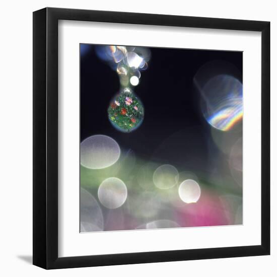Abstract of Dew Drops on Flowers-Steve Satushek-Framed Premium Photographic Print