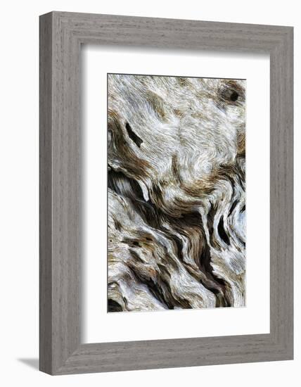 Abstract of Driftwood on the Beach, Jekyll Island, Georgia, USA-Joanne Wells-Framed Photographic Print