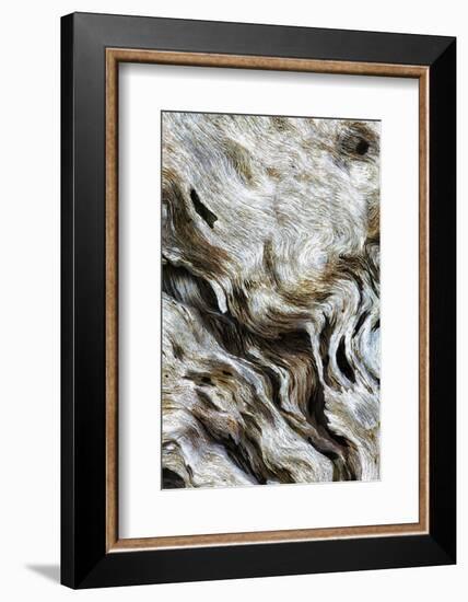 Abstract of Driftwood on the Beach, Jekyll Island, Georgia, USA-Joanne Wells-Framed Photographic Print