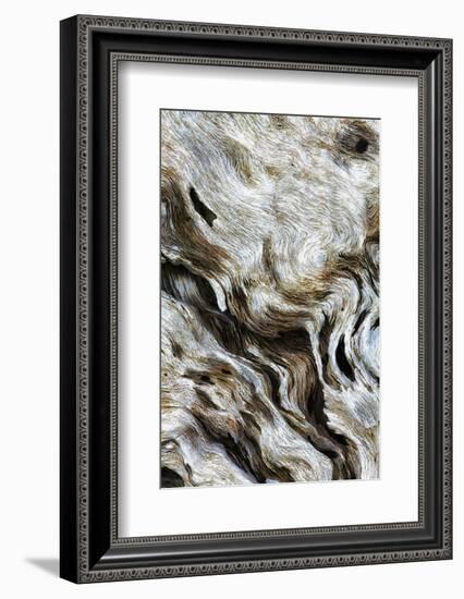 Abstract of Driftwood on the Beach, Jekyll Island, Georgia, USA-Joanne Wells-Framed Photographic Print