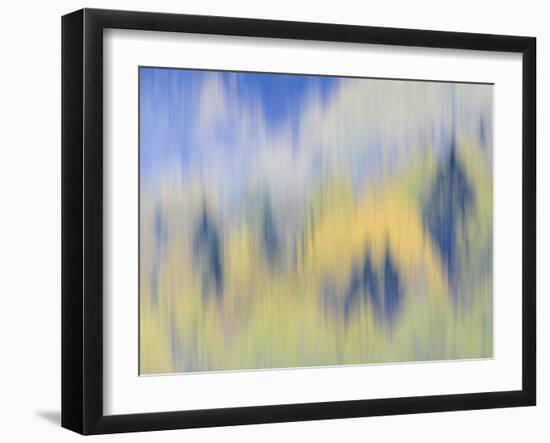 Abstract of Fall Colors of Spruce and Hemlock, Nuuksio National Park, Finland-Arthur Morris-Framed Photographic Print