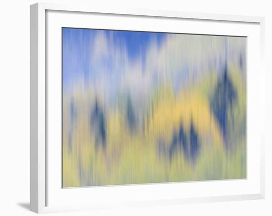 Abstract of Fall Colors of Spruce and Hemlock, Nuuksio National Park, Finland-Arthur Morris-Framed Photographic Print