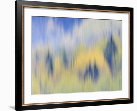 Abstract of Fall Colors of Spruce and Hemlock, Nuuksio National Park, Finland-Arthur Morris-Framed Photographic Print