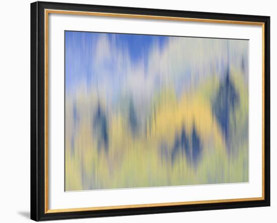 Abstract of Fall Colors of Spruce and Hemlock, Nuuksio National Park, Finland-Arthur Morris-Framed Photographic Print