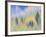 Abstract of Fall Colors of Spruce and Hemlock, Nuuksio National Park, Finland-Arthur Morris-Framed Photographic Print