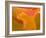 Abstract of Flower Petal in Rain-Nancy Rotenberg-Framed Photographic Print