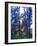 Abstract of forest.-Jaynes Gallery-Framed Photographic Print