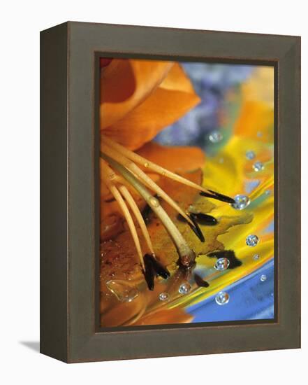 Abstract of Lily Stamens in Reflection-Nancy Rotenberg-Framed Premier Image Canvas