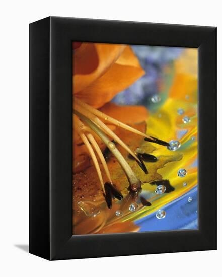 Abstract of Lily Stamens in Reflection-Nancy Rotenberg-Framed Premier Image Canvas