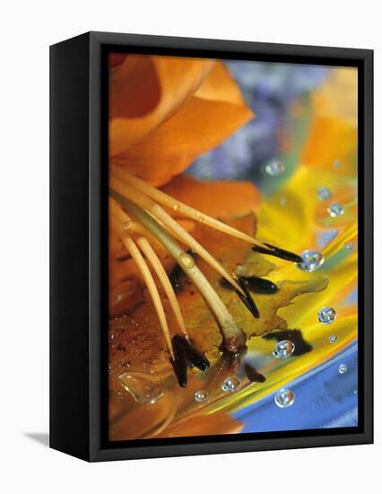 Abstract of Lily Stamens in Reflection-Nancy Rotenberg-Framed Premier Image Canvas