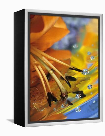 Abstract of Lily Stamens in Reflection-Nancy Rotenberg-Framed Premier Image Canvas