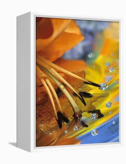 Abstract of Lily Stamens in Reflection-Nancy Rotenberg-Framed Premier Image Canvas