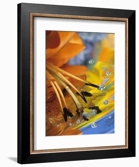 Abstract of Lily Stamens in Reflection-Nancy Rotenberg-Framed Photographic Print