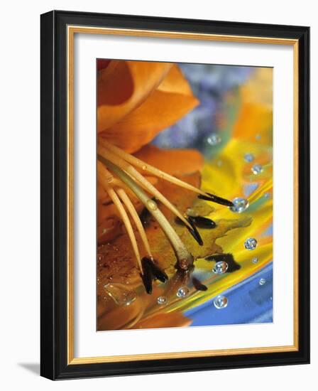 Abstract of Lily Stamens in Reflection-Nancy Rotenberg-Framed Photographic Print