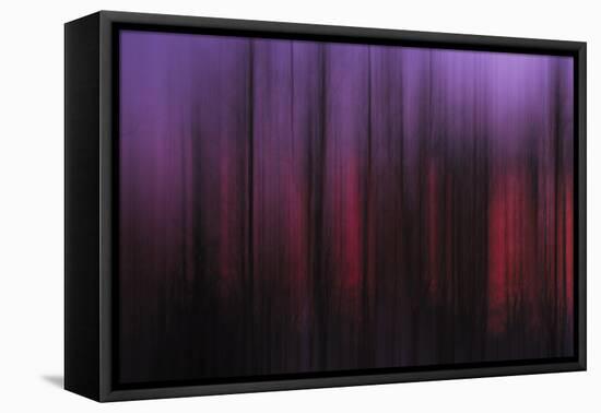 Abstract of Trees at Sunset, Upper Mississippi, Le Claire Iowa-Rona Schwarz-Framed Premier Image Canvas
