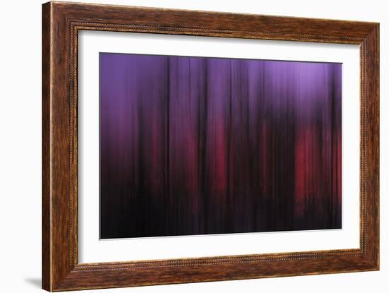 Abstract of Trees at Sunset, Upper Mississippi, Le Claire Iowa-Rona Schwarz-Framed Photographic Print