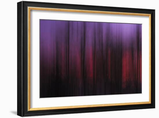 Abstract of Trees at Sunset, Upper Mississippi, Le Claire Iowa-Rona Schwarz-Framed Photographic Print