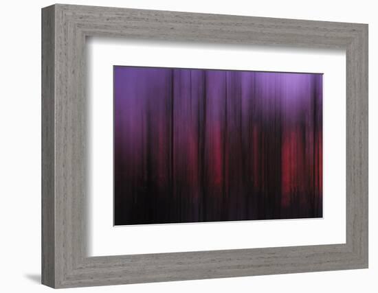 Abstract of Trees at Sunset, Upper Mississippi, Le Claire Iowa-Rona Schwarz-Framed Photographic Print