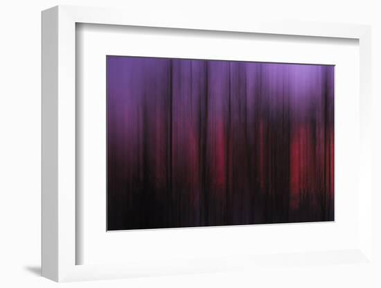 Abstract of Trees at Sunset, Upper Mississippi, Le Claire Iowa-Rona Schwarz-Framed Photographic Print