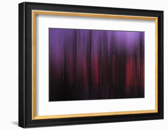 Abstract of Trees at Sunset, Upper Mississippi, Le Claire Iowa-Rona Schwarz-Framed Photographic Print