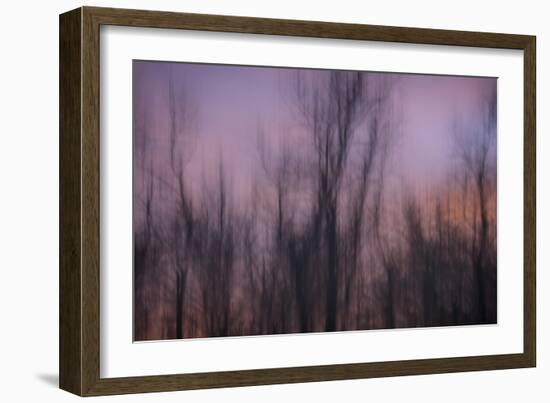 Abstract of Trees at Sunset , Upper Mississippi, Le Claire Iowa-Rona Schwarz-Framed Photographic Print