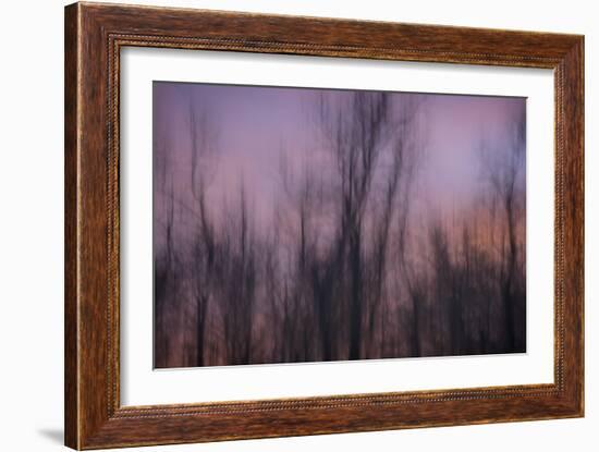 Abstract of Trees at Sunset , Upper Mississippi, Le Claire Iowa-Rona Schwarz-Framed Photographic Print