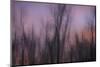 Abstract of Trees at Sunset , Upper Mississippi, Le Claire Iowa-Rona Schwarz-Mounted Photographic Print