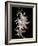 Abstract Orchid Artwork-Ellen Anon-Framed Photographic Print