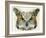 Abstract Owl-Ancello-Framed Art Print