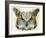 Abstract Owl-Ancello-Framed Art Print