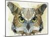 Abstract Owl-Ancello-Mounted Art Print