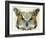Abstract Owl-Ancello-Framed Art Print