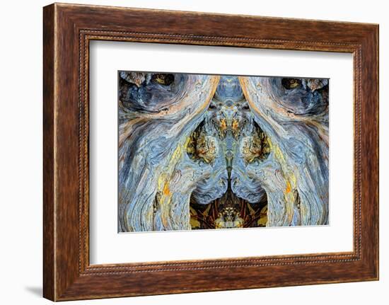 Abstract pattern in driftwood, Bandon Beach, Oregon-Adam Jones-Framed Photographic Print