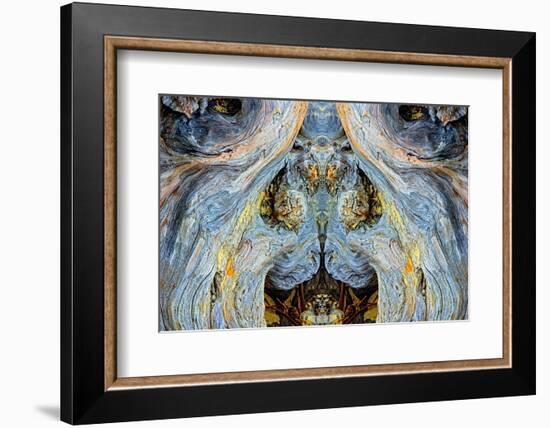 Abstract pattern in driftwood, Bandon Beach, Oregon-Adam Jones-Framed Photographic Print