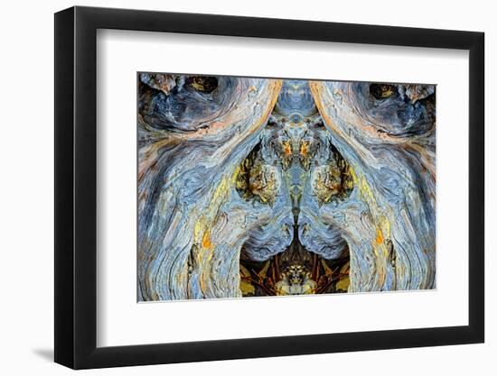 Abstract pattern in driftwood, Bandon Beach, Oregon-Adam Jones-Framed Photographic Print