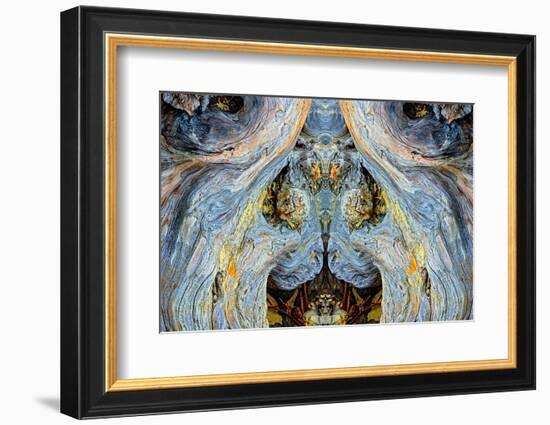 Abstract pattern in driftwood, Bandon Beach, Oregon-Adam Jones-Framed Photographic Print