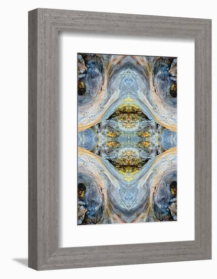 Abstract pattern in driftwood, Bandon Beach, Oregon-Adam Jones-Framed Photographic Print