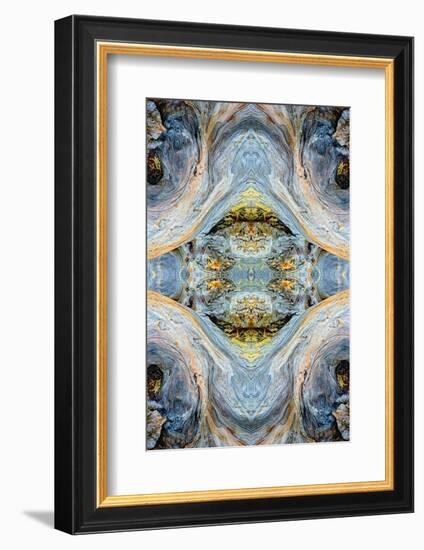 Abstract pattern in driftwood, Bandon Beach, Oregon-Adam Jones-Framed Photographic Print