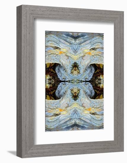 Abstract pattern in driftwood, Bandon Beach, Oregon-Adam Jones-Framed Photographic Print