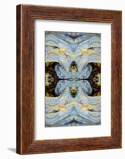 Abstract pattern in driftwood, Bandon Beach, Oregon-Adam Jones-Framed Photographic Print