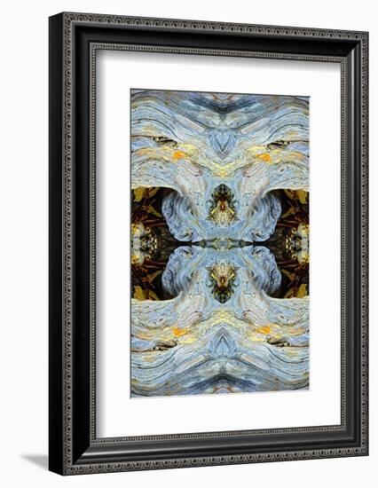 Abstract pattern in driftwood, Bandon Beach, Oregon-Adam Jones-Framed Photographic Print