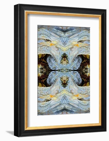 Abstract pattern in driftwood, Bandon Beach, Oregon-Adam Jones-Framed Photographic Print