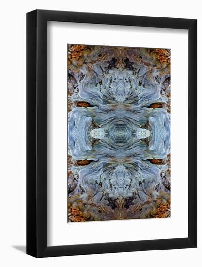 Abstract pattern in driftwood, Bandon Beach, Oregon-Adam Jones-Framed Photographic Print