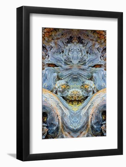 Abstract pattern in driftwood, Bandon Beach, Oregon-Adam Jones-Framed Photographic Print