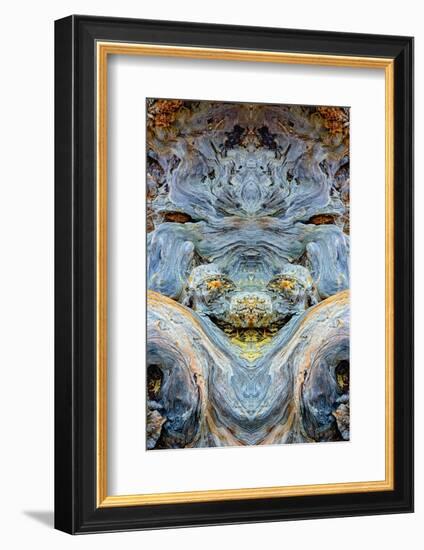 Abstract pattern in driftwood, Bandon Beach, Oregon-Adam Jones-Framed Photographic Print