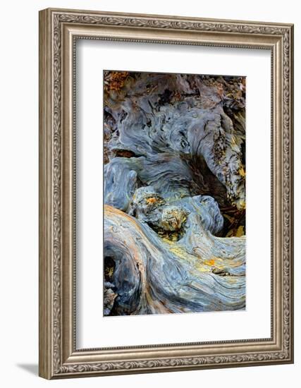 Abstract pattern in driftwood, Bandon Beach, Oregon-Adam Jones-Framed Photographic Print