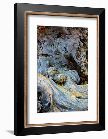 Abstract pattern in driftwood, Bandon Beach, Oregon-Adam Jones-Framed Photographic Print
